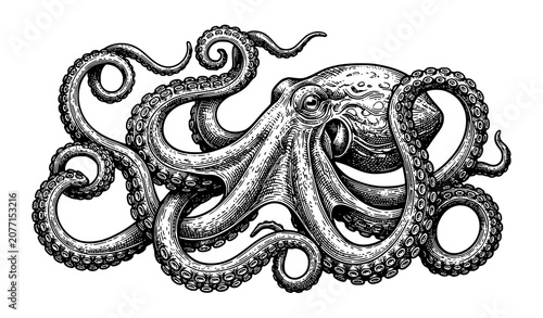 Bild auf Leinwand Antique Octopus Engraving Illustration for Nautical Logo and Label Design