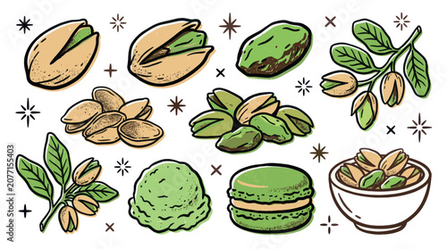 Various hand-drawn pistachio illustrations, including shelled, unshelled, a branch, ice cream, and a macaroon, on a clean white background