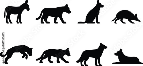 Photography collection of eight various animal silhouettes on a white background