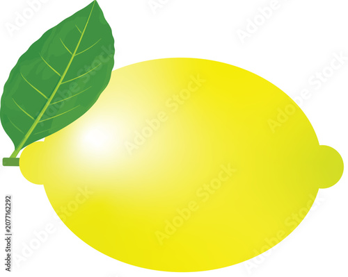 lemon vector illustration