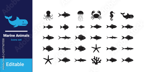 Tableau sur toile Sea animal line art set marine creatures outline nautical doodle icon collection