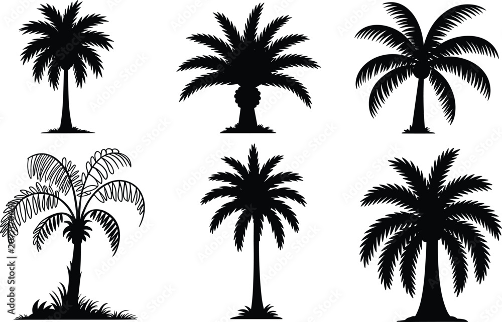 Fototapeta premium Palm Tree Black Silhouette Collection with Tropical Coconut Tree Vector Set