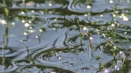 
Abstract Dark Water Ripples with Intense Midday Sun Sparkles and Shiny Jewel Lighting Effect.4k

