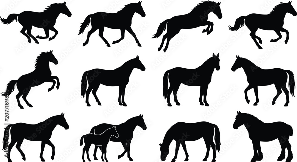 Obraz premium Running and walking horses silhouettes vector illustration set.