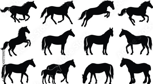 Konstfotografi Running and walking horses silhouettes vector illustration set.