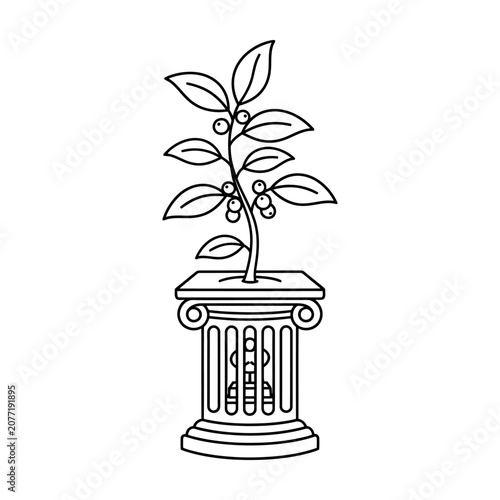 Small coffee plant growing on a classical Greek architectural column base