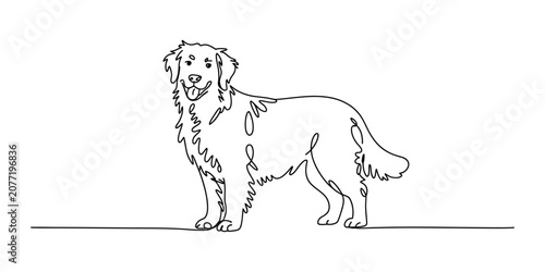 Fotografía Continuous single line drawing of a happy golden retriever