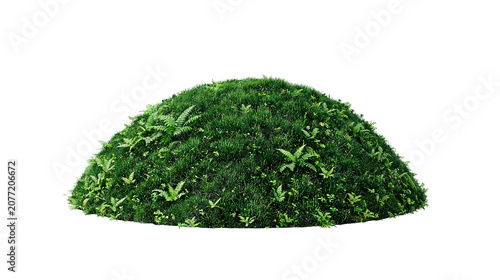 Moss mound, lush grass turf dome, forest fern patch, fresh vegetation hill, organic nature growth, botanical foliage mound, macro plant ecosystem, mossy ground surface texture, wild garden turf.