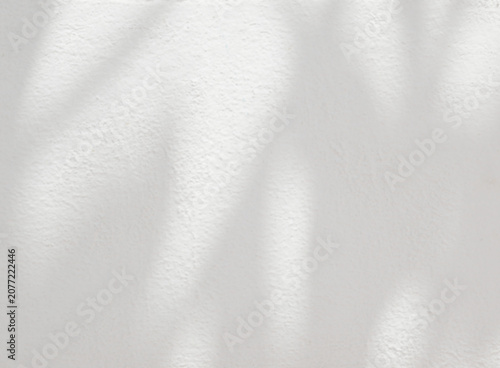 Leaf shadow and light on white concrete wall, overlay effect for photo, mock up, product, wall art, design presentation