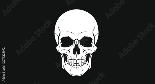 Detailed human skull illustration facing forward isolated on a solid black background for a dramatic and spooky effect.