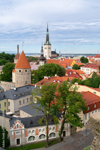Vertical skyline of Tallinn Old Town featuring historic spires from Toompea viewing platform