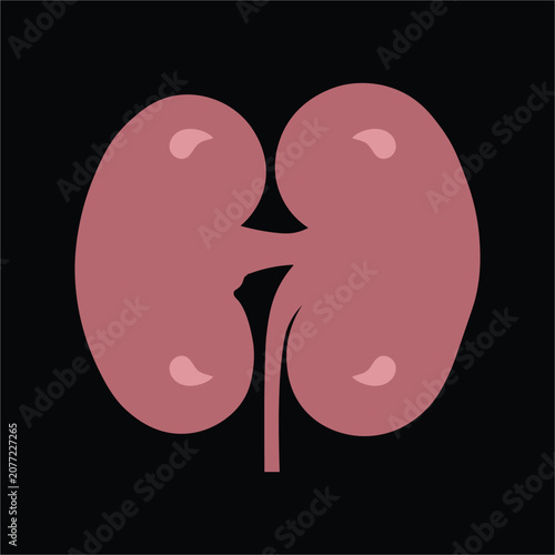 Kidney Illustration Vector Art With Pink And Red Tones