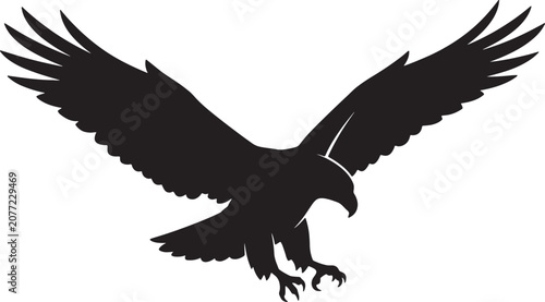 Fényképezés Black silhouette of a soaring eagle with spread wings, isolated on a white backg