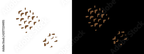 Photography Clustered Small Brown Ink Drops on White and Black