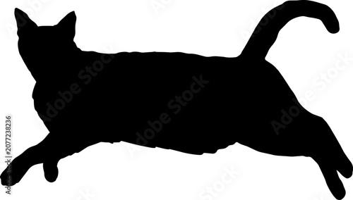 Black Cat Silhouette Vector Illustration