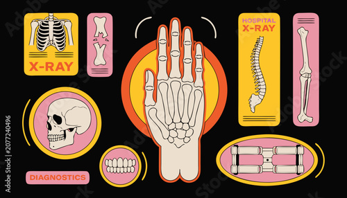 Bild auf Leinwand Medical x-ray diagnostic icons set showing skeletal structures and human anatomy parts