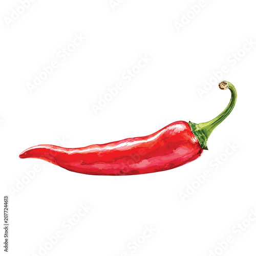 Cuadro en lienzo Red Chili Peppers Watercolor vector