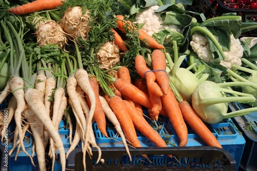 various,colorful vegetables  for cooking and eating