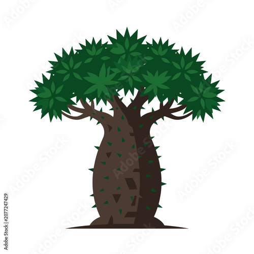 Spiky baobab tree icon flat design representing traditional african flora