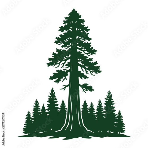 Tall sequoia tree silhouette evergreen forest icon natural environment symbol