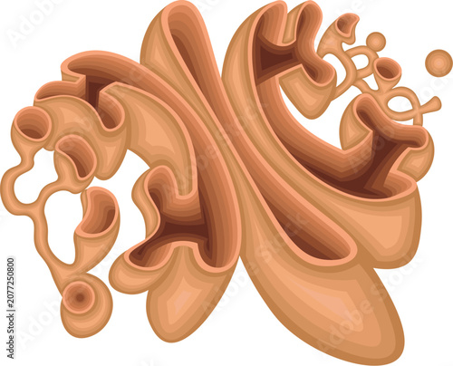 Foto Golgi Apparatus Anatomy with Cis Face, Medial Cisternae, Trans face, CGN, TGN an