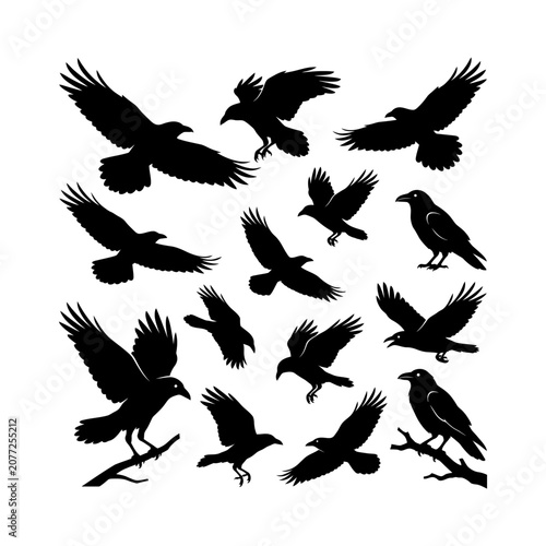 Foto Comprehensive assortment of crow silhouettes in various poses including flying perched landing and scavenging isolated on white background for gothic themed designs or dark aesthetic illustration