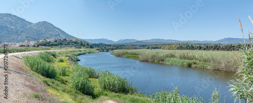 Foto embankment road and lush vegetation on Cedrino river banks, Orosei Marina, Italy