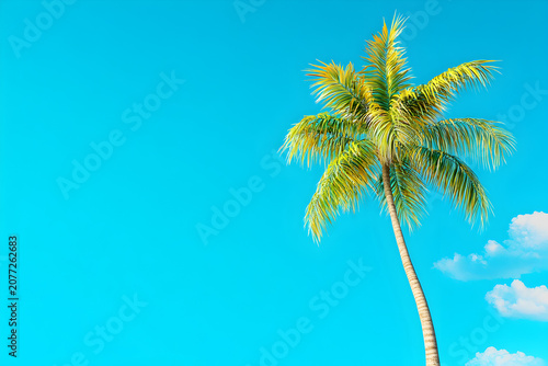 A Touch of Tropical Paradise