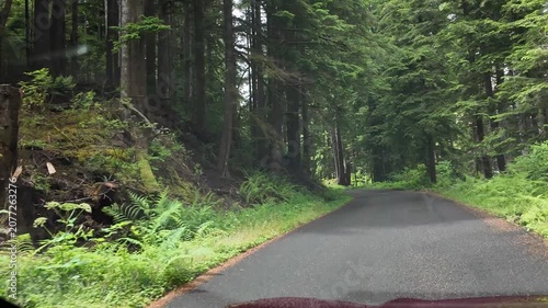 4K smooth action camera driving footage along a forest road toward the Saddle Mountain trailhead in Oregon's Coast Range, USA. Driver's POV through dense Pacific Northwest woodland