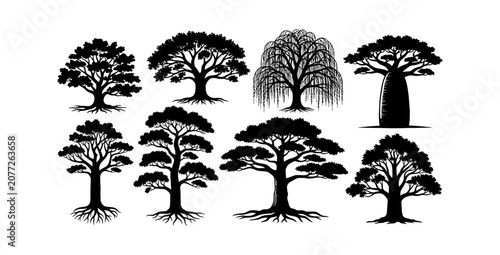 Set of eight different hand drawn black tree silhouettes for forest and nature design projects isolated on transparent background, Vector