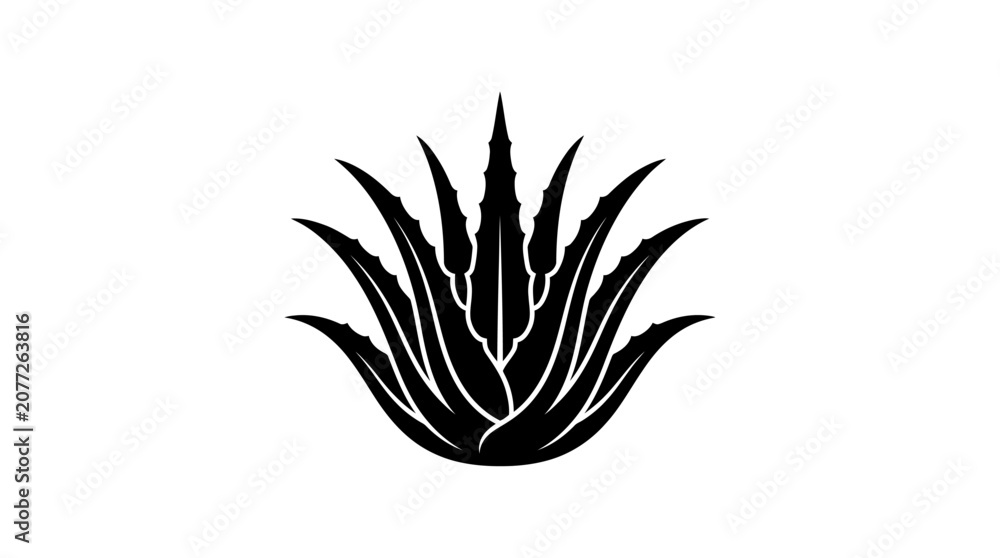 Fototapeta premium Aloe Vera Plant Icon Graphic.
