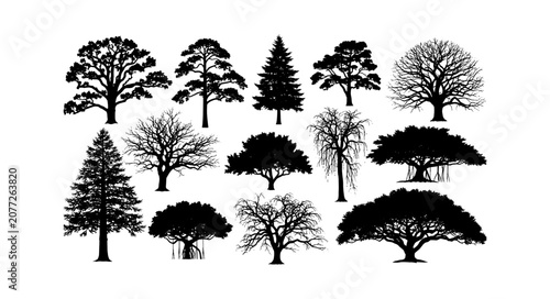 Set of black tree silhouettes in various shapes including pine oak and deciduous trees for nature design elements isolated on transparent background, Vector