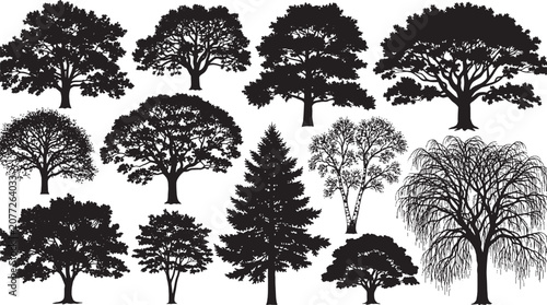 Set of black tree silhouettes collection with various species like oak pine and maple trees for nature design elements isolated on transparent background, Vector