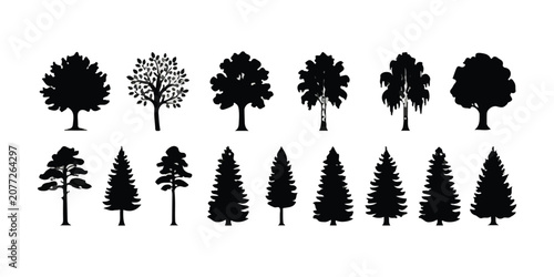 Foto Set of black tree silhouettes including deciduous and coniferous pine trees