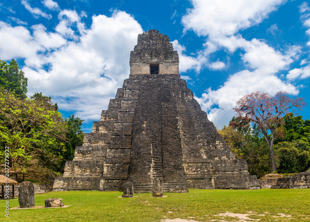 Fototapeta premium Temple of the Grand Jaguar pyramid, Tikal, Guatemala.