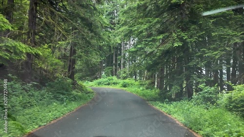 4K smooth action camera driving footage along a forest road toward the Saddle Mountain trailhead in Oregon's Coast Range, USA. Driver's POV through dense Pacific Northwest woodland