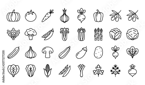 Vegetable Line Icons Collection Featuring Pumpkin Tomato Carrot Onion Cabbage Corn and Fresh Garden Produce