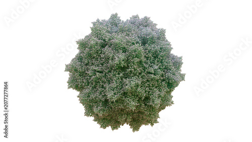 3D AAV5 Adeno-Associated Virus Serotype 5 capsid 60-mer image, Replication-defective Non-pathogenic, Primarily Lung Alveolar, Eye Retina, and CNS Delivery  Treat Cystic Fibrosis, Hemophilia A.