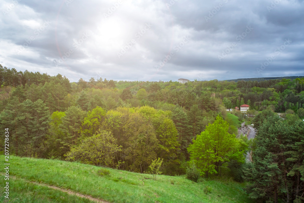Fototapeta premium Pine forest valley scenery, moody storm clouds. Rural hillsides with dense trees under dramatic overcast sky.