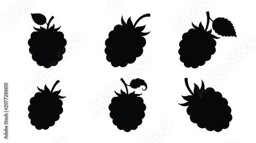 Blackberry fruit silhouette, dark and stylized