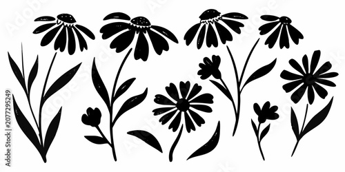 Konstfotografi Wildflower silhouettes a black vector illustration on a white background