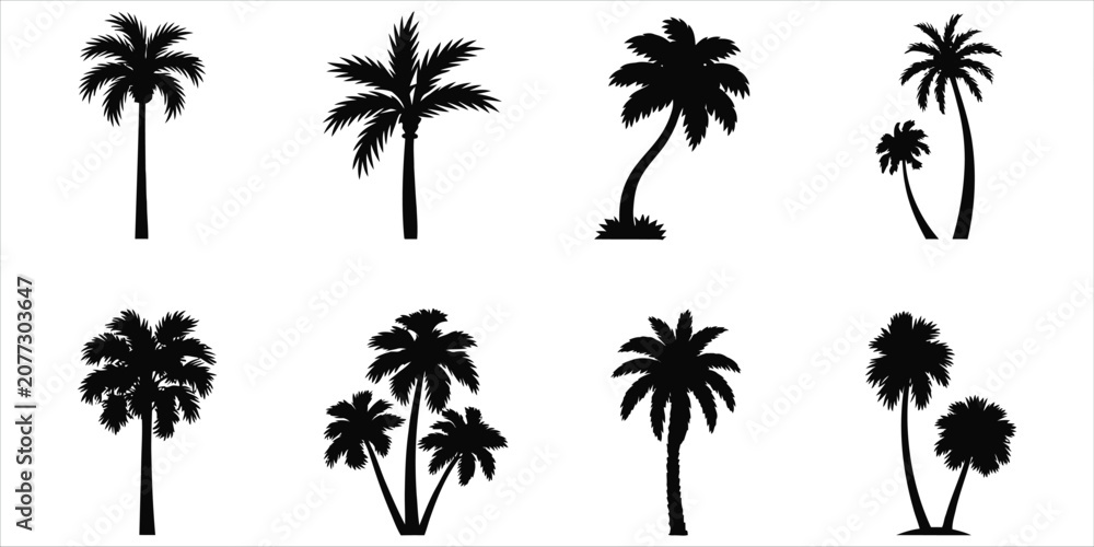 Fototapeta premium Diverse Black Silhouette Palm Trees on White Background vector illustration