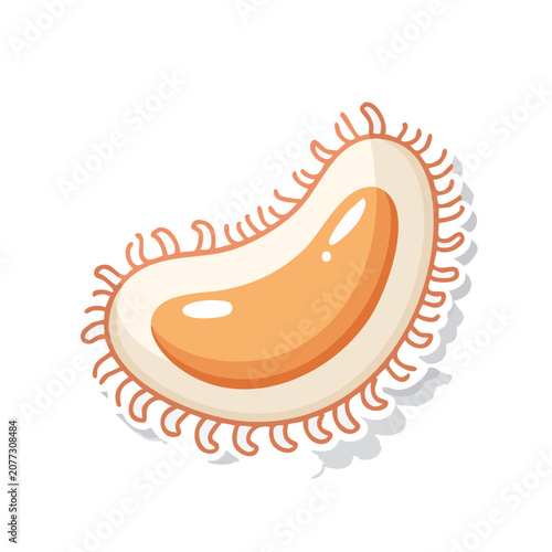 Amoeba flat vector illustration