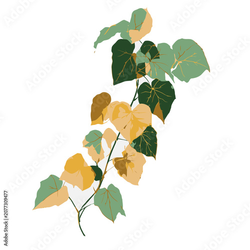 Flat illustration of autumn leaf branch with veins