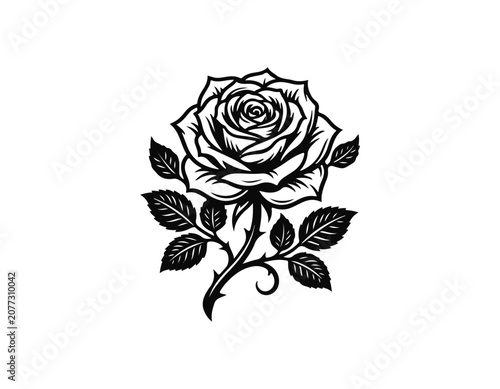 rose