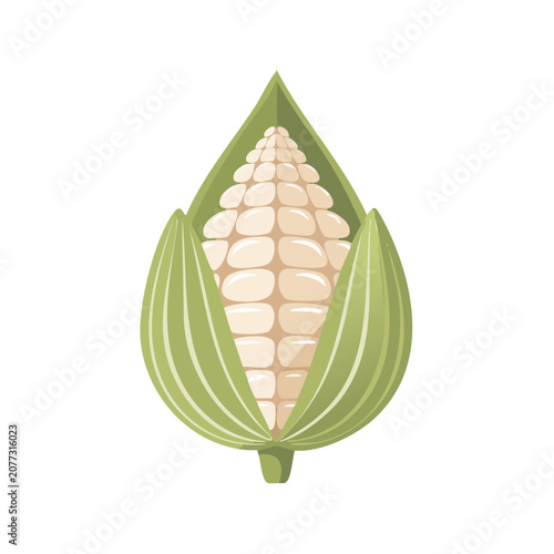 Flat illustration of a corn cob with husks