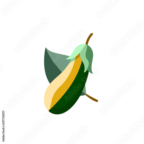 Flat illustration of avocado with leaf and stem