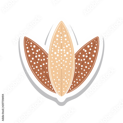 Almond Nut in Shell Flat Vector Illustration