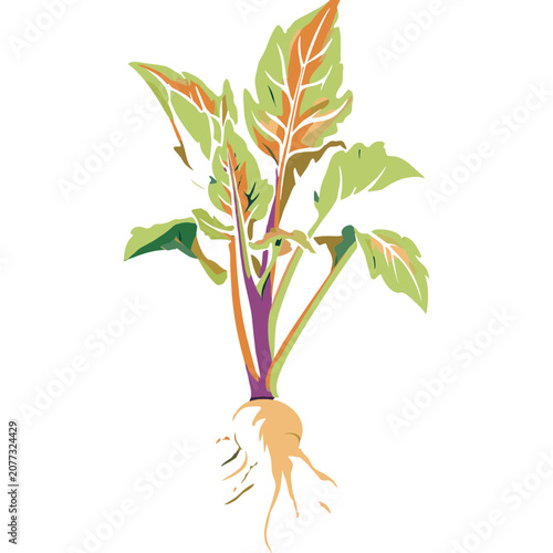 Flat illustration of a plant with roots and leaves