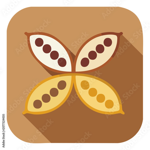 Flat illustration of cocoa pods with beans